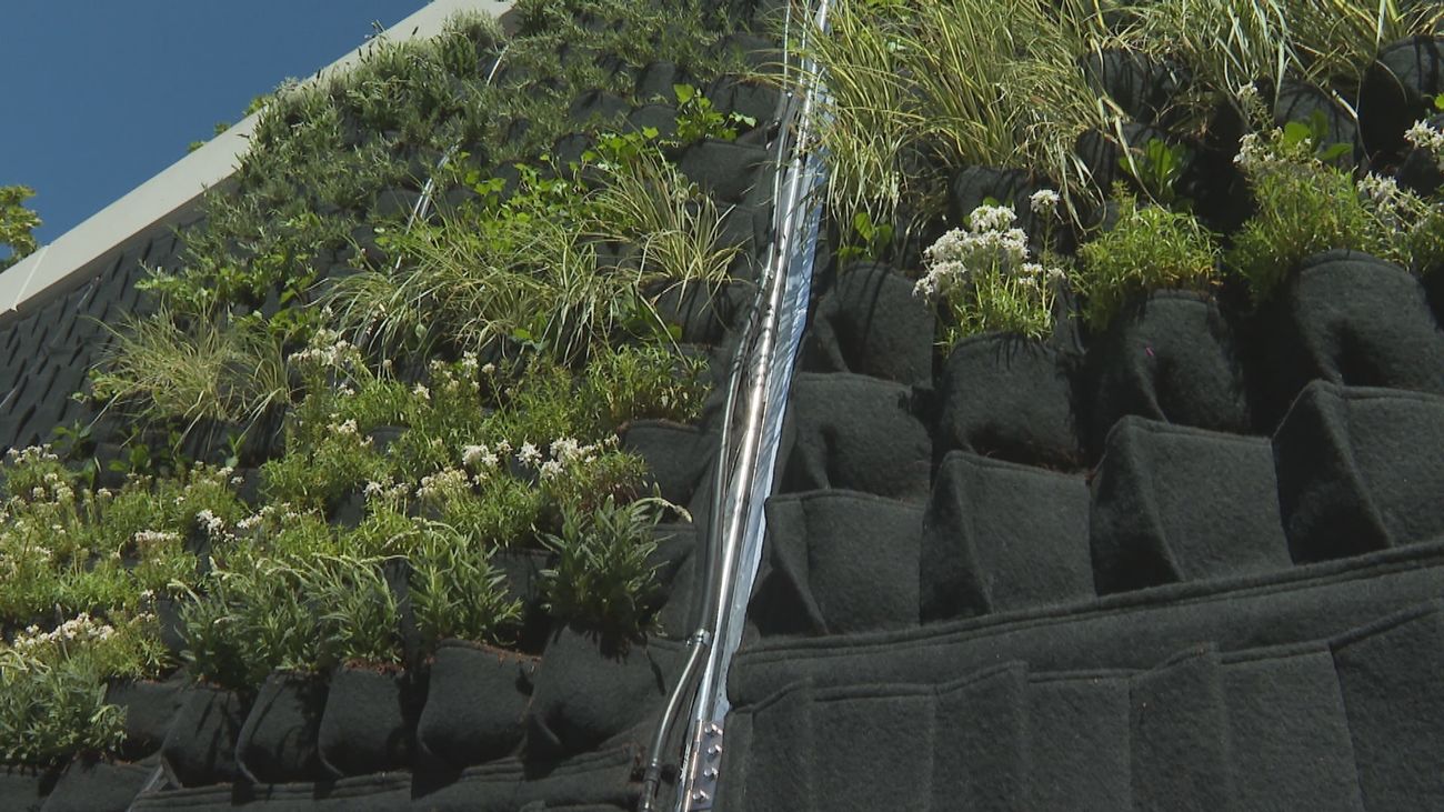 Comienza la instalación de paneles vegetales en los muros de la M-30