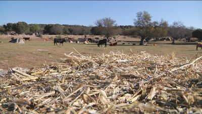 Este mes de abril va camino de ser el más seco de los últimos 60 años