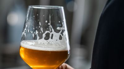 El Beer Festival ofrece en Torrejón las mejores cervezas artesanas y música en directo