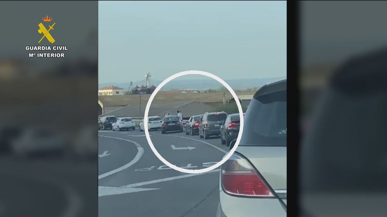 Circulan por la autovía... sentados en las  ventanillas del coche