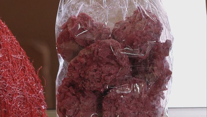 Semillas cacao rubí / Telemadrid