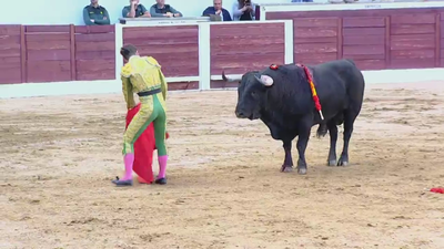 Juan del Álamo apunta a la final de la Copa Chenel cortando tres orejas en San Martín de Valdeiglesias