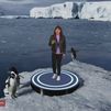 Conoce mejor a los pingüinos gracias a la realidad virtual