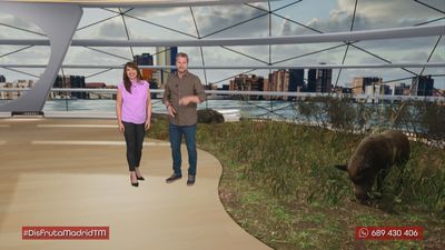 Santuario para animales de granja en Madrid: Vacas, ovejas, cerdos y cabras conviviendo juntos