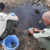 La sequía obliga a agentes forestales de Madrid a cambiar renacuajos de charca