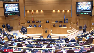 El Senado aprueba en comisión la reforma del sí es sí con los votos de PSOE, PP y PNV