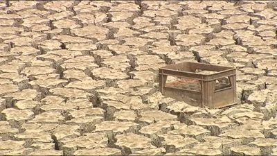 La sequía deja las reservas de España a la mitad