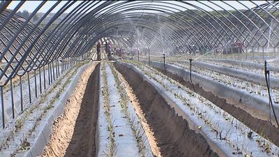 Los regantes piden medidas al gobierno frente a la sequía