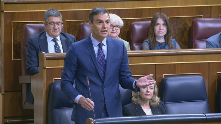 Pedro Sánchez en el Congreso de los Diputados / TELEMADRID