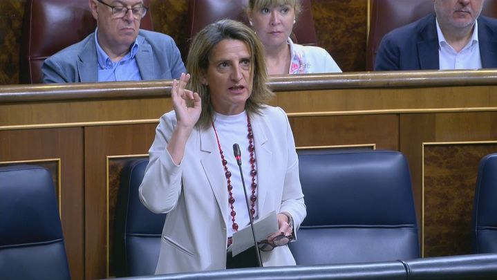 Teresa Ribero / TELEMADRID