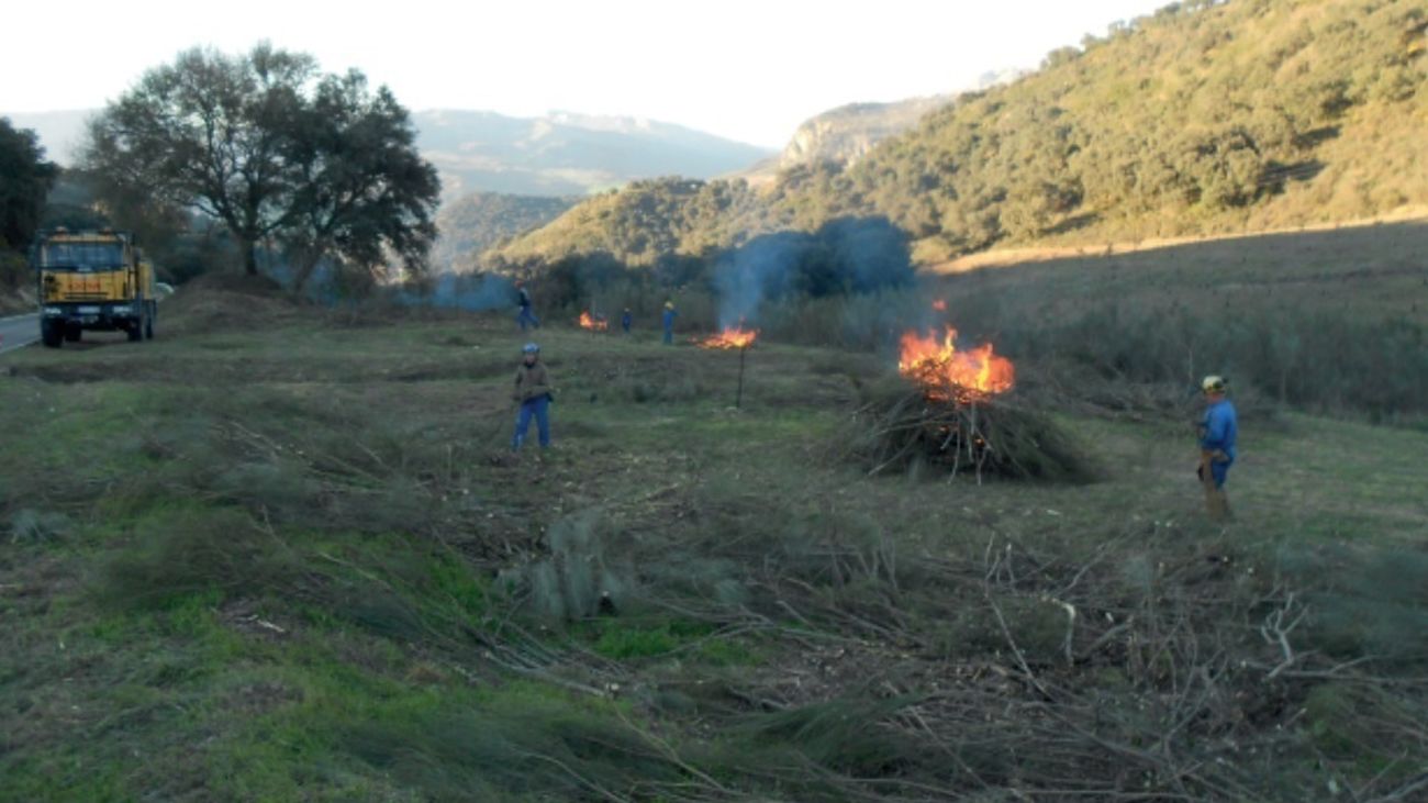 Prohibido el uso de fuego en terreno forestal en Madrid hasta el final de la semana