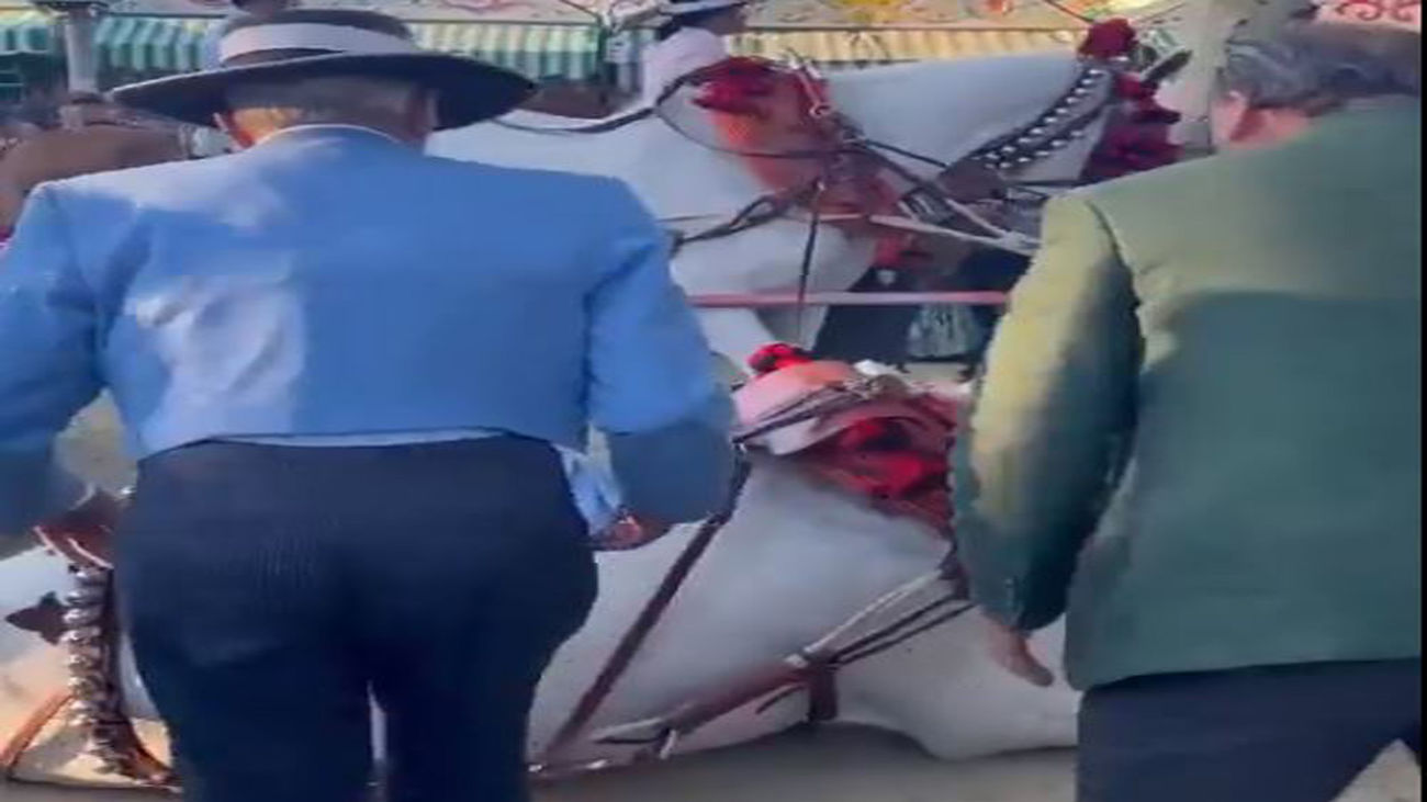 Maltrato a un caballo en la Feria de Sevilla