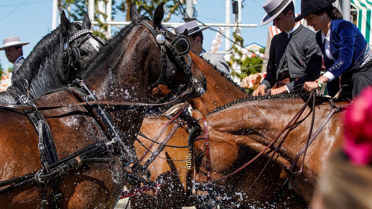 Un incendio obliga a evacuar las cuadras anexas a la Feria de Sevilla