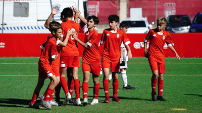 Madrid acoge el Campeonato de España de selecciones autonómicas Sub'12