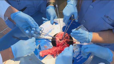 Tour for Life: el 'camión del corazón' llega a Madrid