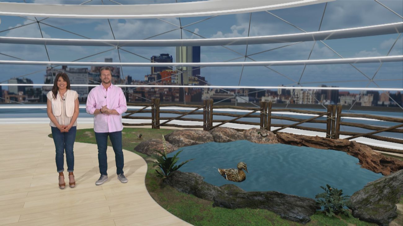 ¿Cómo se cuida a los animales de una granja escuela?