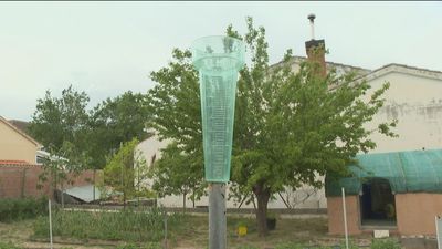 Alfonso, 12 años recogiendo la lluvia en Belmonte de Tajo