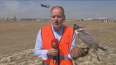 Los vigilantes aéreos de Barajas