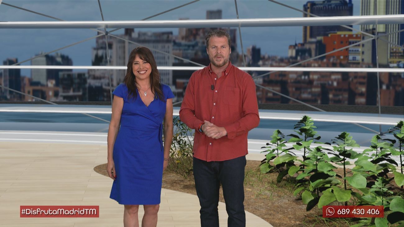 La espinaca de hojas gigantes: ¿Qué hace especial la variedad de Viroflay?