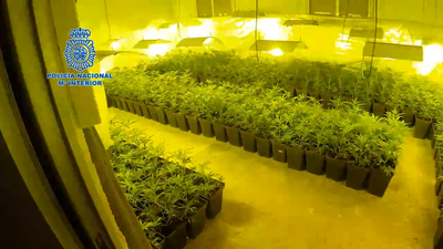 Desarticulada una organización criminal vinculada a un grupo serbio dedicado al tráfico de drogas