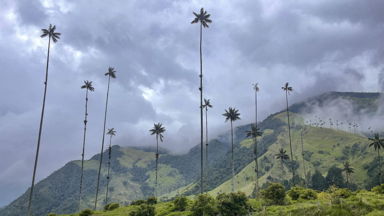 Disney invita a los viajeros a conocer los ambientes de "Encanto" en Colombia