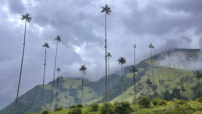 Descubre los ambientes de ‘Encanto’ en Colombia