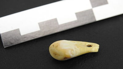 Recuperan ADN de una mujer del Paleolítico en un colgante de 20.000 años