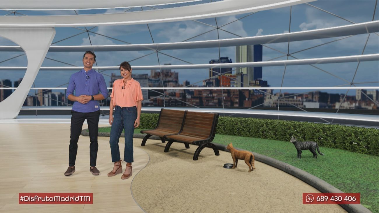 AGAR: protegiendo a los gatos del Retiro