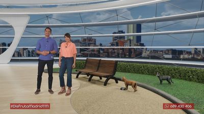 AGAR: protegiendo a los gatos del Retiro