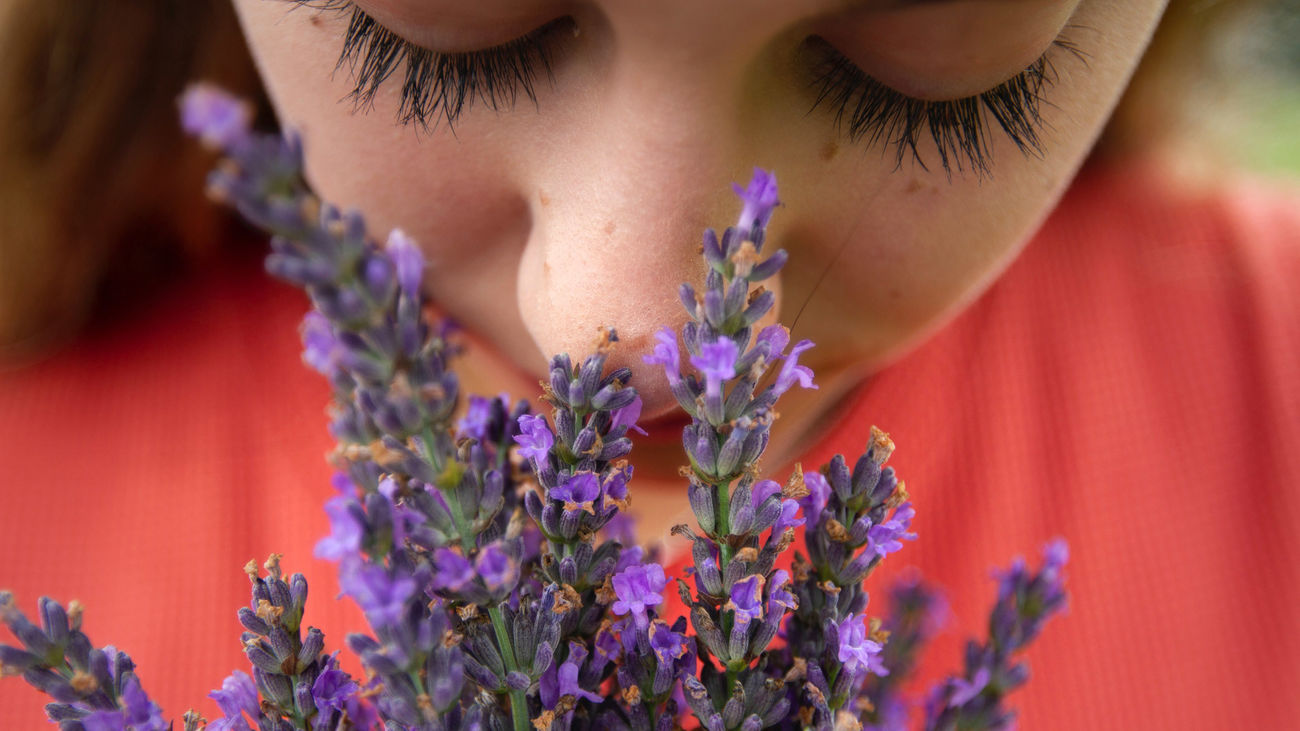 La tecnología de realidad virtual permitiría a los usuarios de interfaces portátiles detectar olores en videojuegos, películas en 4D y entornos virtuales de enseñanza