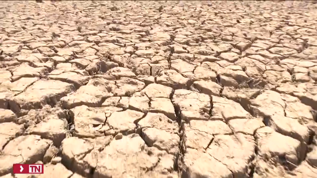 El Gobierno convoca un Consejo de Ministros Extraordinario sobre la sequía