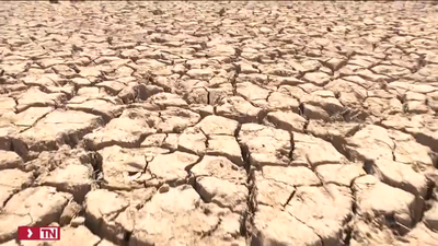 El Gobierno convoca un Consejo de Ministros Extraordinario sobre la sequía