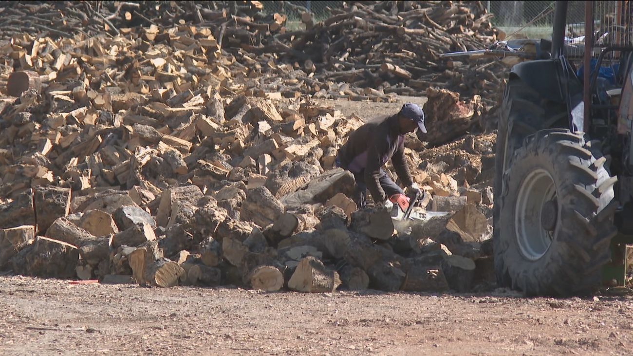 El calvario para una pareja por un aserradero en Villamanta