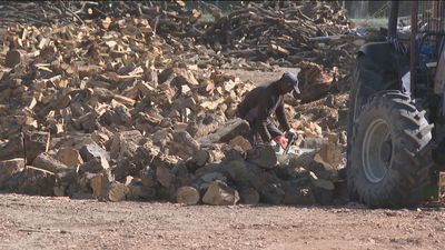 El calvario para una pareja por un aserradero en Villamanta