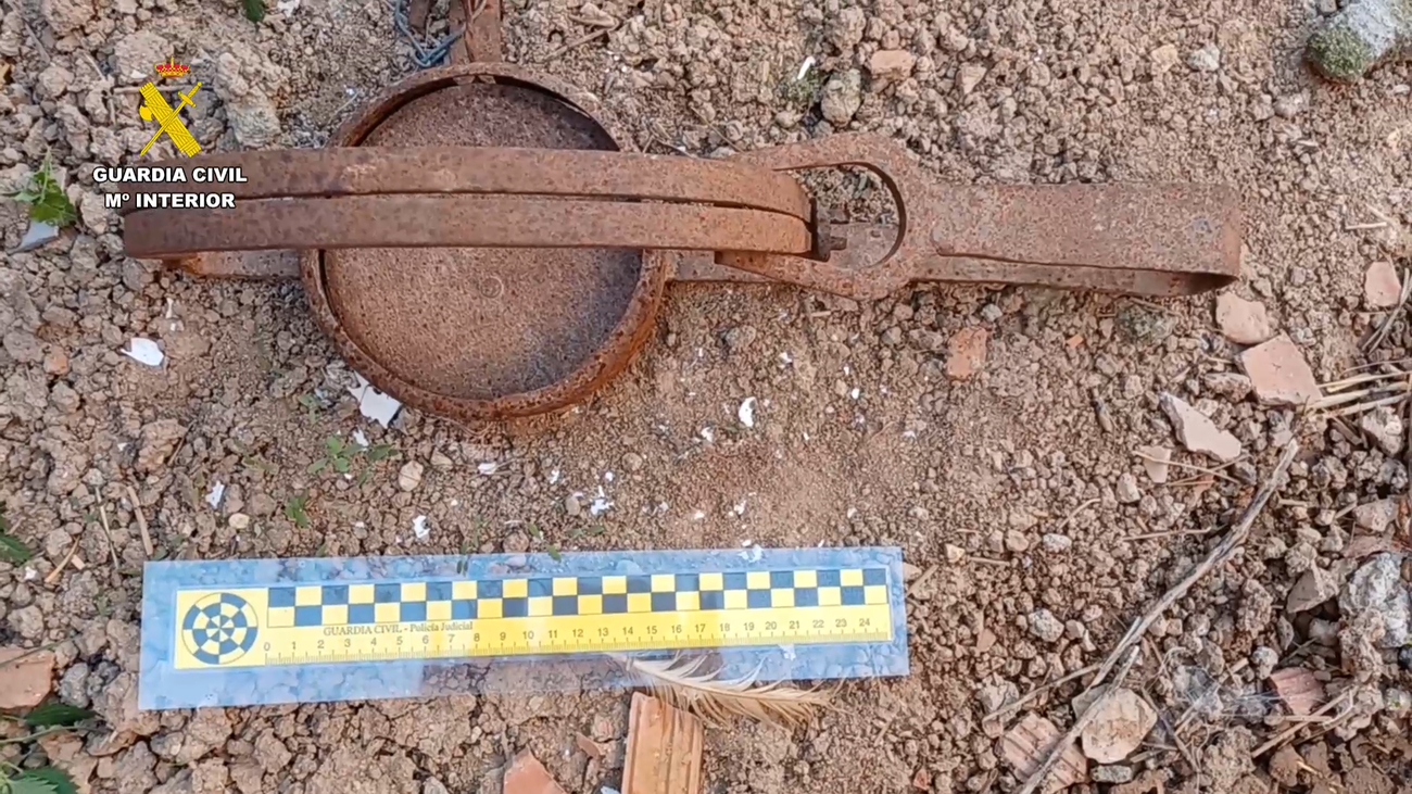 Un detenido por el uso de cebos envenenados en una finca de caza