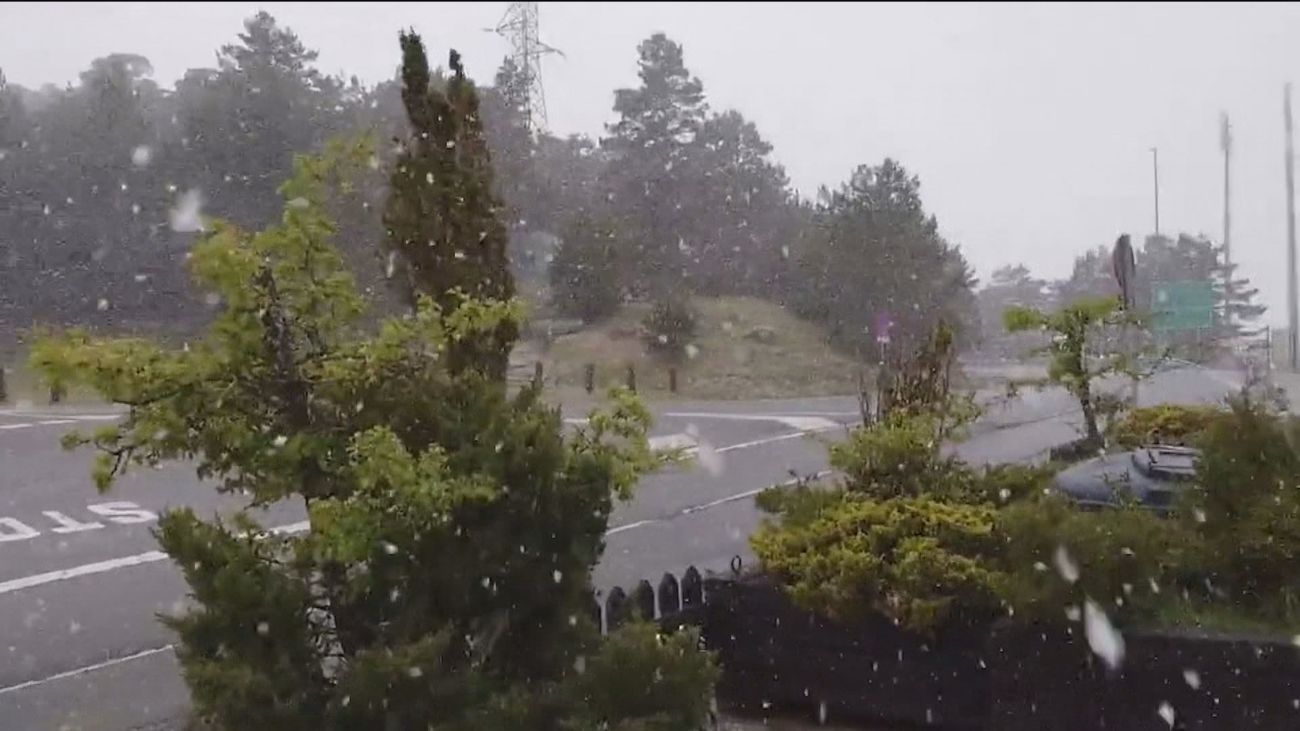 Nieva en la Sierra de Madrid en pleno mes mayo