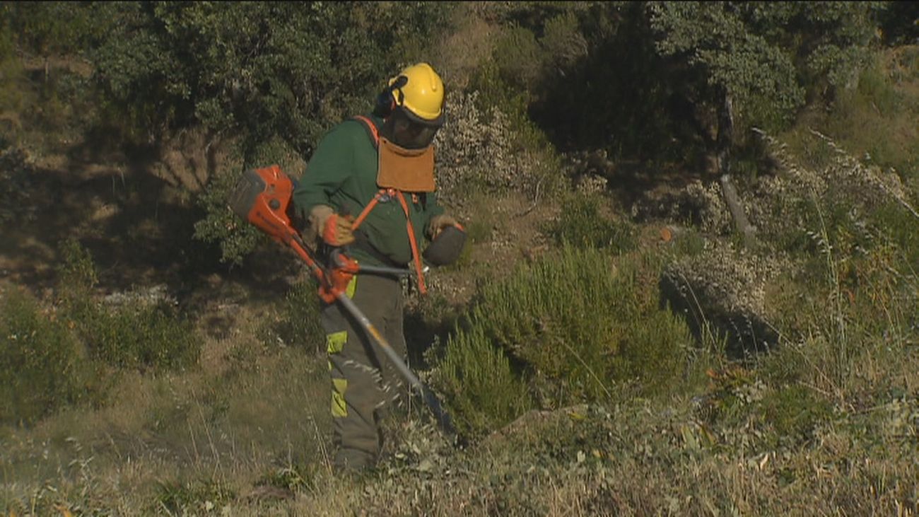 La Comunidad de Madrid pone en marcha la campaña de prevención de incendios