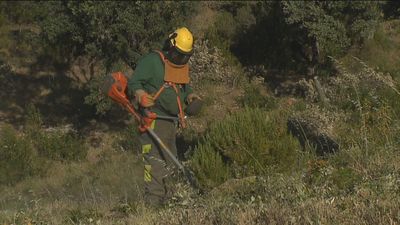 La Comunidad de Madrid pone en marcha la campaña de prevención de incendios
