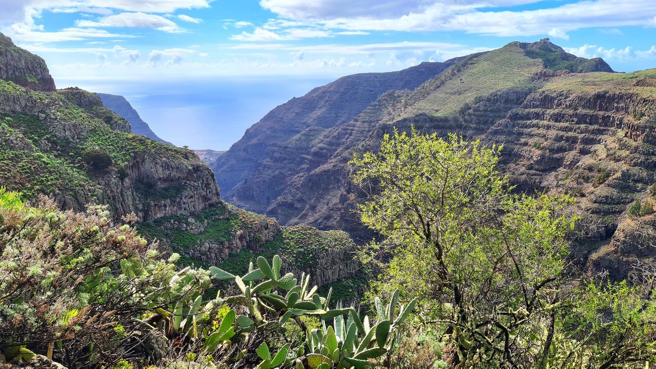 El Enfoque de Ida y Vuelta 33 – Invertir en nuestro planeta