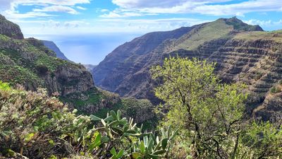 El Enfoque de Ida y Vuelta 33 - Invertir en nuestro planeta