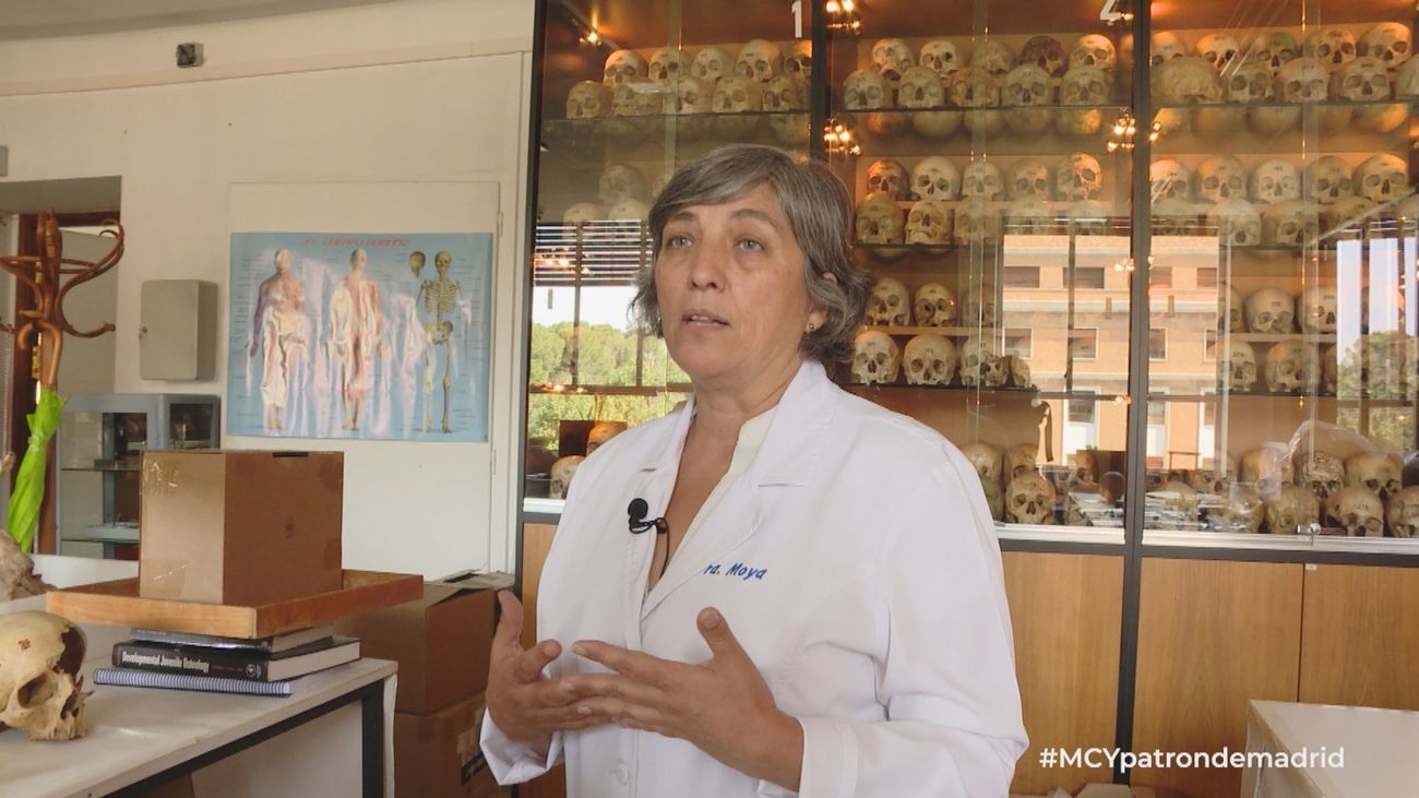 Un estudio del cuerpo de San Isidro desvela muchas incógnitas del patrón de Madrid