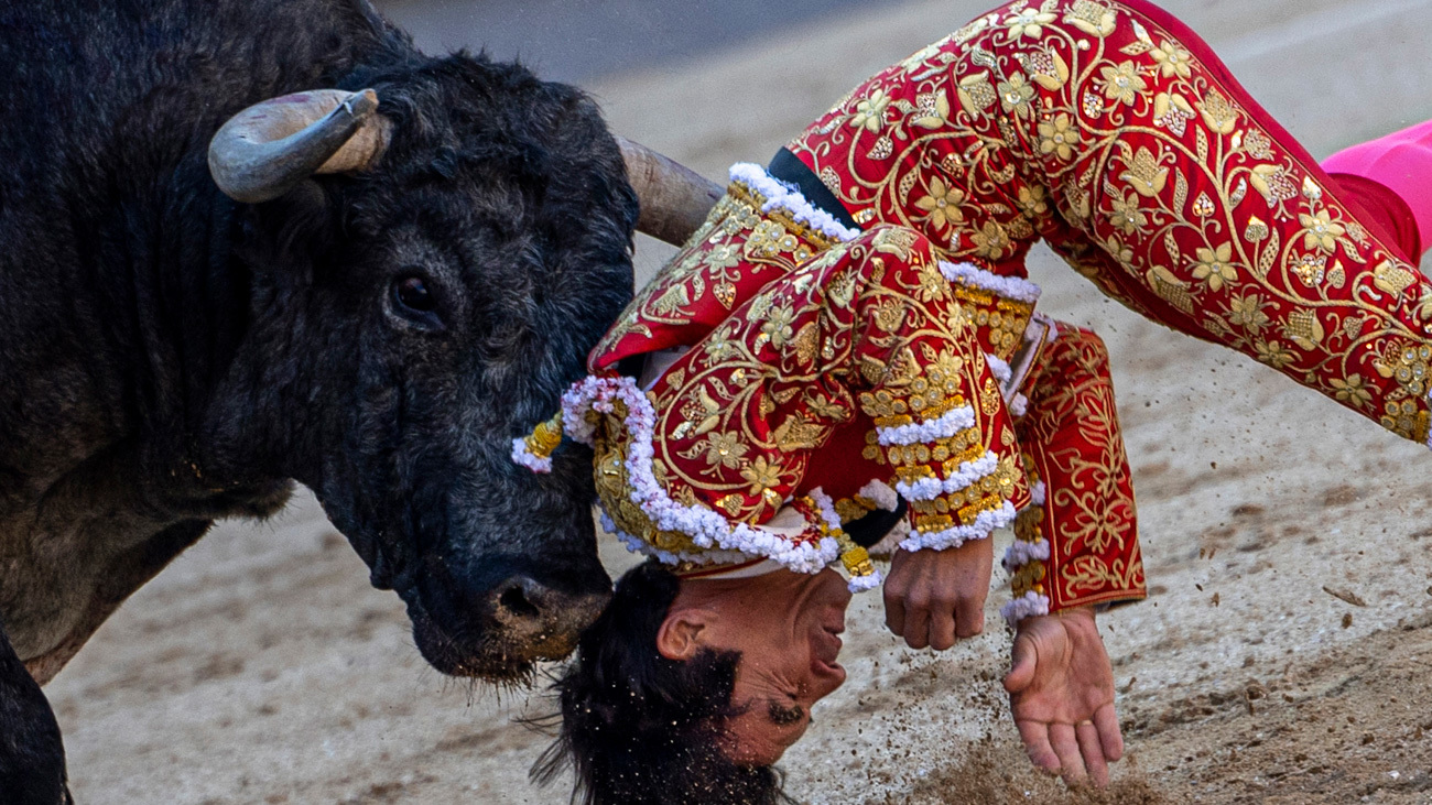 El diestro Domingo López-Chaves sufre una cogida durante la corrida de la Feria de San Isidro, este domingo en Las Ventas