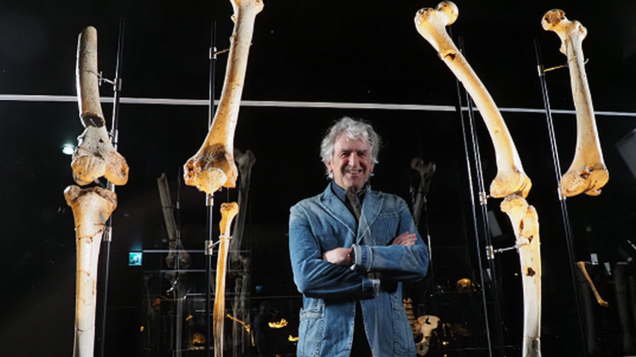 Cómo completar un esqueleto de más de 400.000 años de antigüedad