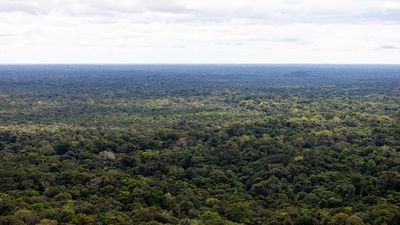 Encontrados con vida cuatro niños desaparecidos hace más de dos semanas en la selva de Colombia