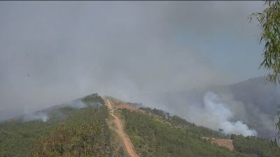 Medios aéreos y terrestres continúan trabajando en el incendio de Pinofranqueado