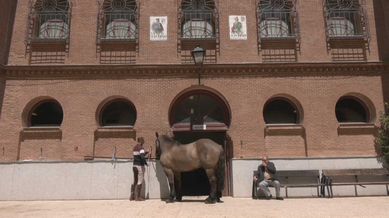 Así se ha preparado a los caballos para la octava de San Isidro