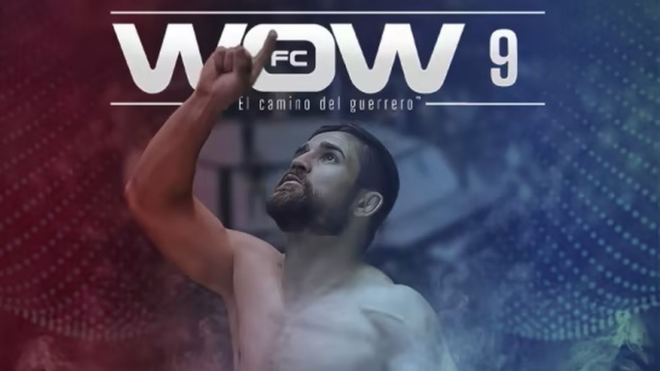 Artes marciales mixtas