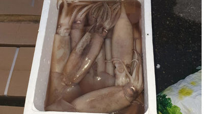 Retiran en Usera 77 kilos de pescado descongelado y con moscas en plena calle