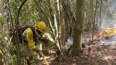 Detenido el presunto autor del incendio en una zona natural de La Palma