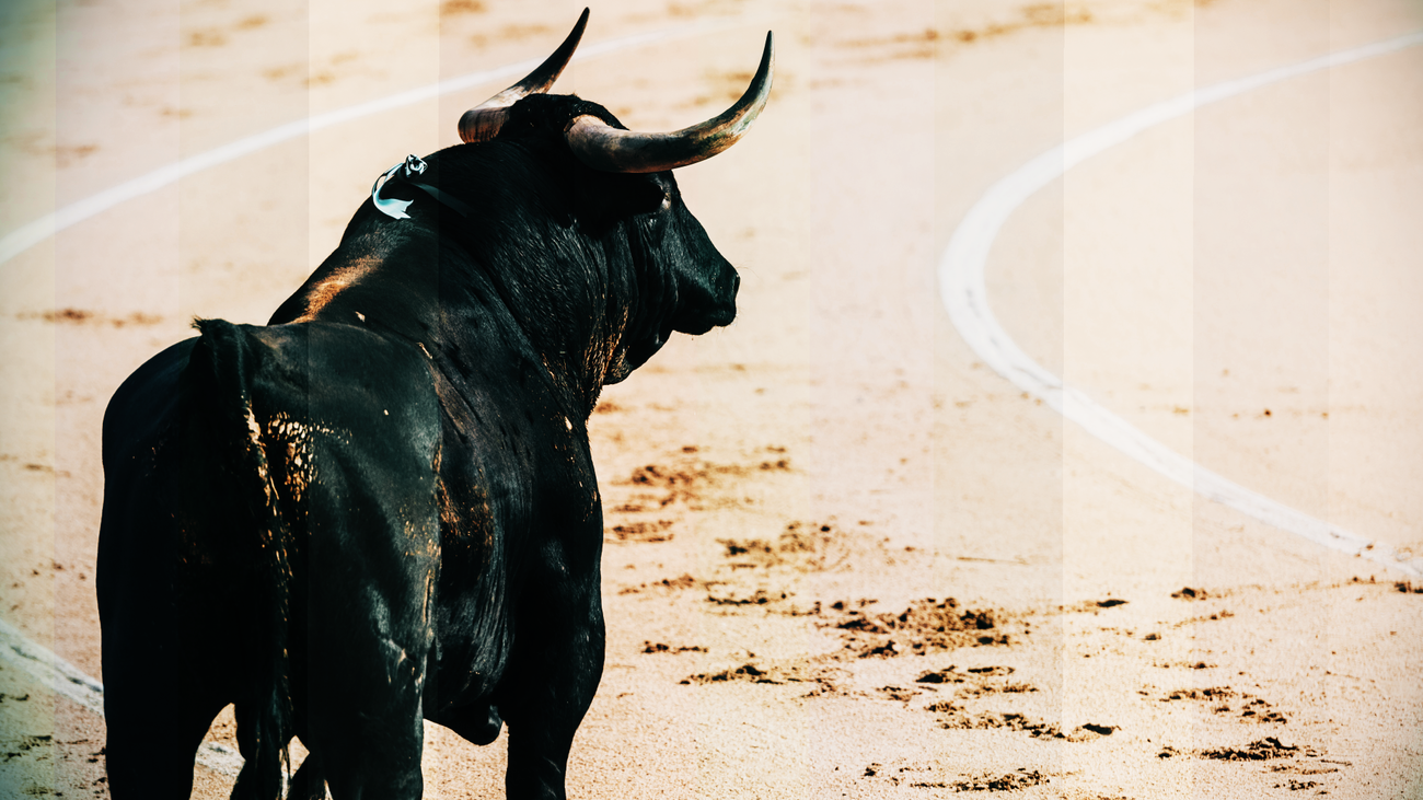 Aquí se han criado algunos de los toros que han salido a lidiar en Las Ventas